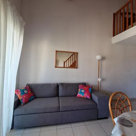 Joli T3 Mezzanine Face A La Appartement *